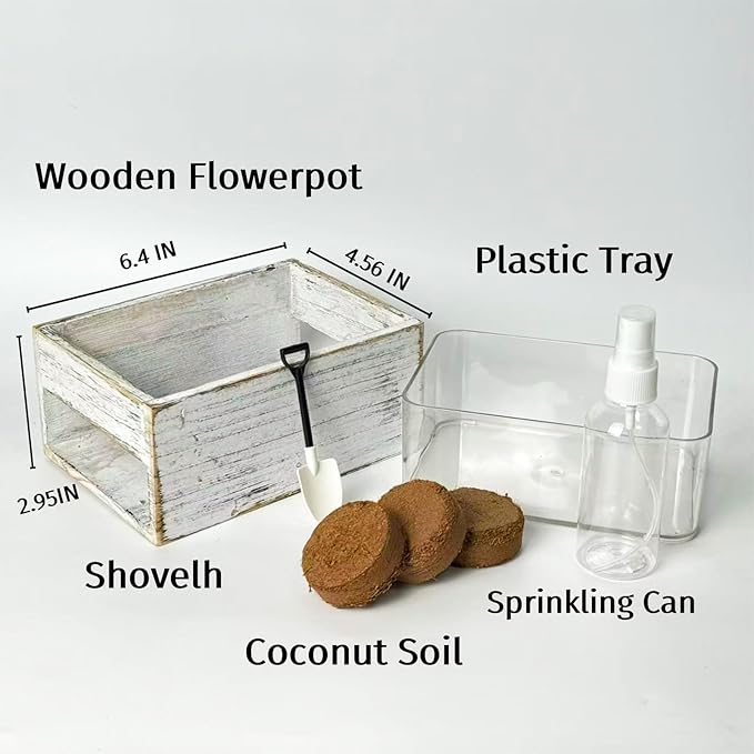 wooden cat grass planter (seedless), the organic cat grass set in the pet room is easy to operate, equipped with detachable planting basin and watering can.