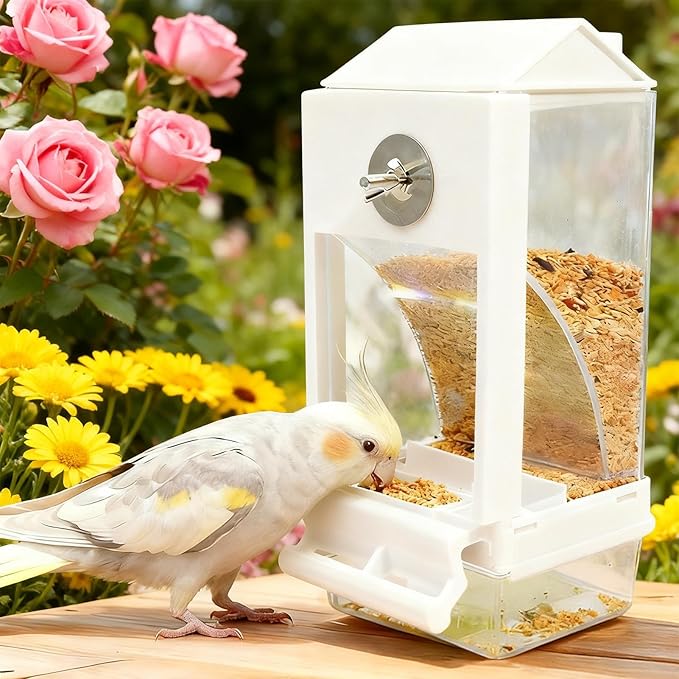 Wild Bird Feeder - Spill Proof Removable Container, Outdoor Seed Holder, Hanging Garden Feeder, Durable Multi-Purpose Feeding Station, Easy Refill Transparent Design | Bird Feeding Station for Family