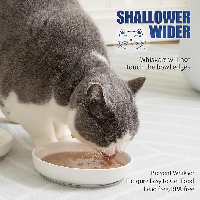 Lusifaco Shallow Cat Food Bowls, 5.9 Inch Wide Ceramic Cat Dish for Indoor Cat,Anti Whisker Fatigue Cat Dishes Set, Kitten Plates for Food and Water,Non-Slip Silicone Mat,3 Pack(Grey)
