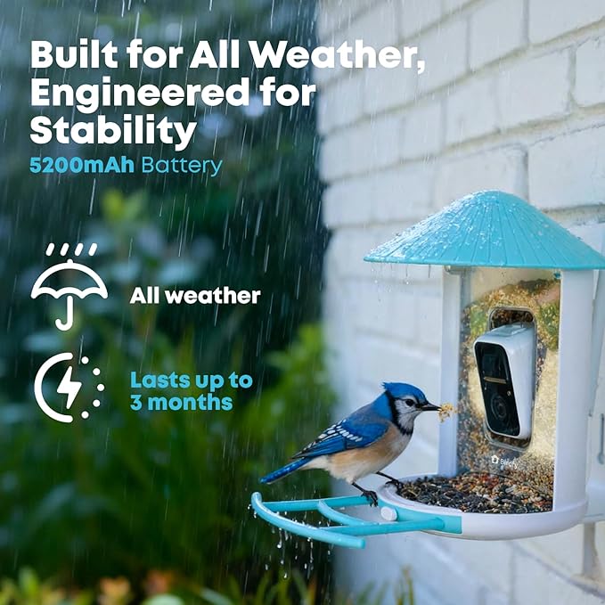 NETVUE by Birdfy Smart Bird Feeder with AI Camera, Auto Capture Videos & Motion Detection, Live Steam, Wireless Wildbird Watching, Outdoor Backyard Birder(AI by Subscription)