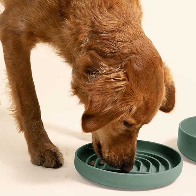 Should We Go? Slow Feeder for Dogs & Puppies, The Slowdown Bowl Silicone Slow Eating, Modern Lick Mat Design, Reduces Gulping, Fits 2.5 Cups, 9.5” Across x 1.5” Tall, Mealtime Challenge, Large-Spruce