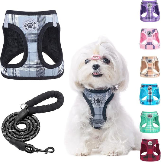 BEAUTYZOO Small Dog Harness and Leash Set,Step in No Choke No Pull Soft Mesh Dog Harnesses Reflective for Extra-Small Medium Puppy Dogs and Cats, Plaid Dog Vest Harness for XS S Pets, Grey XS