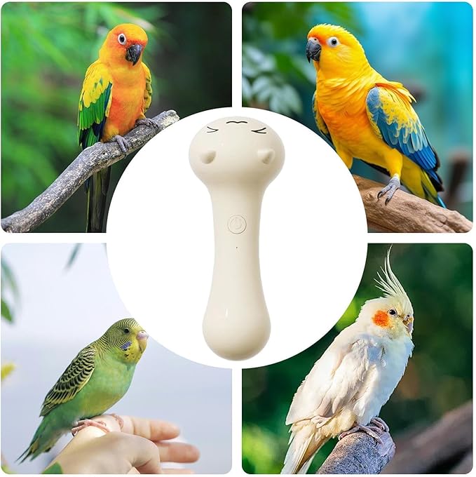 Parakeet Nail Grinder - Rechargeable Pet Grooming Supplies, Conure Grooming Nail Trimmer | Avian Claw Maintenance Device, Precision Grinding Tool, Daily Care Accessory for Conure, Cockatiel, Lovebird