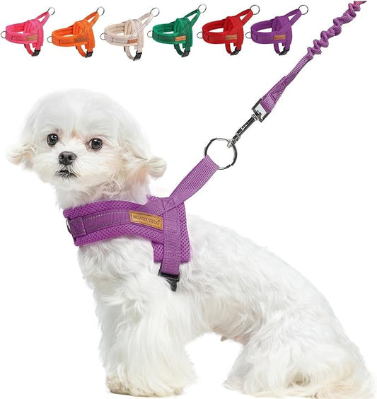 BEAUTYZOO Dog Harness for Small Dogs, No Pull Dog Harness and Leash Set, Soft Escape Proof Puppy Vest Harness with Handle, Reflective Lightweight Step in Harness for Girl Boy Dogs, Purple S