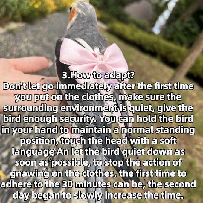 Bird Diaper Parrot Washable Diapers, Parrot Flight Suit, Reusable Nappies for Parakeet Cockatiel Mini Macaw Budgie Conure Lovebird (Purple,Pigeon)