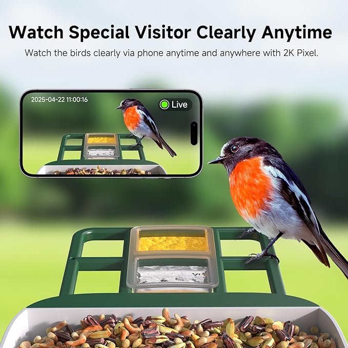 Loatos Bird Feeder with Camera AI Identify 2K Live Video Smart Bird Feeder with Camera, 2.4GHZ WiFi Solar Birds House Cameras, Motion Detection Instant Arrival Alerts, Ideal Present for Birds Lovers