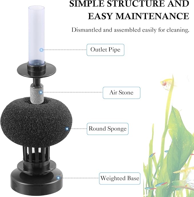 HITOP 2 Pack Aquarium Bio Sponge Filter: Diameter 2.5in Mini Air-Powered Fish Tank Filter, Quiet Small Sponge Filter for up to 15gallon Fish Tank, Betta Tank, Shrimp Tank, Fry Tank, Breeding