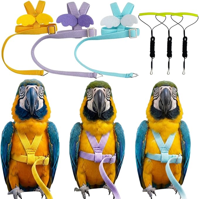 3 Pack Adjustable Bird Harness with Elastic Leash, Pet Parrot Harness and Leash, Adjustable Training Design Anti-Bite, Bird Nylon Rope with Cute Wing for Conure African Grey (Macaw)