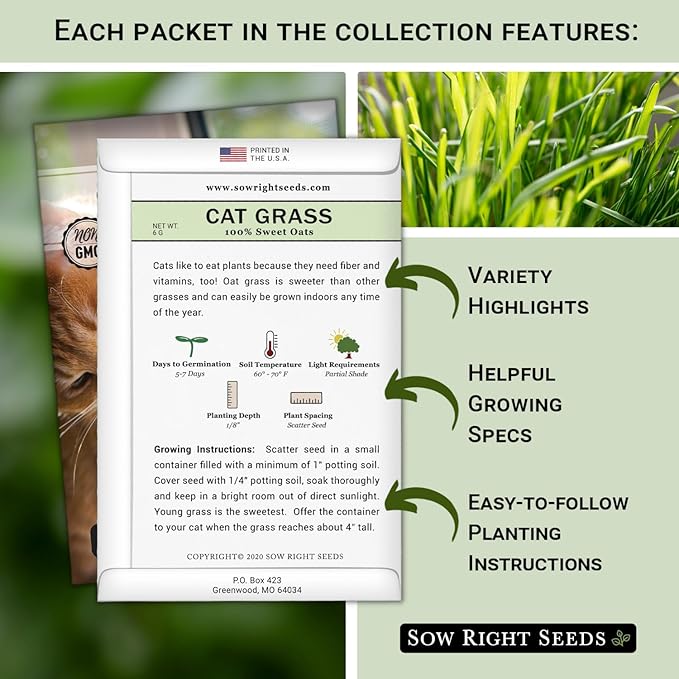 Sow Right Seeds - Catnip and Cat Grass Seed Collection for Planting Indoors or Outdoors - Includes Popular Herb Catnip and Cat Grass (100% Sweet Oat) - Non-GMO Heirloom Packet - Pet Friendly