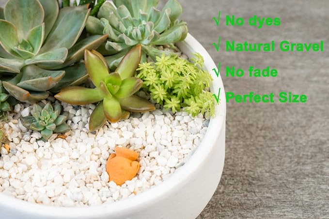 Boniosz 2.4lb Succulent and Cactus Bonsai DIY Rocks, White Gravel for Terrarium, Fairy Gardening, Top Dressing, Mini White Rocks