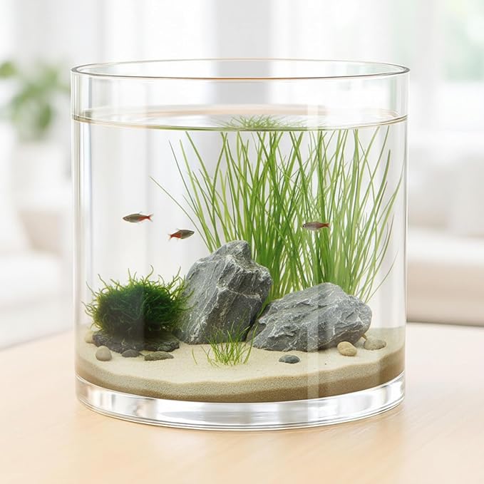 Maxdot 1.66 Gallon Cylindrical Glass Fish Tank Solid Base, 360° Full View Desktop Aquarium Starter, Easy to Maintain Small Microfauna for Betta Snails Shrimp Aquatic Planting and Small Plant Terrarium