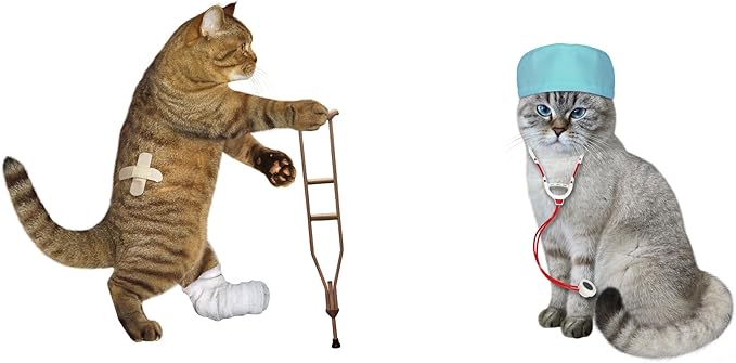 Pet First Aid Kit for Cats & Kittens – Compact Emergency Kit for Cat Owners, Home, Car, Travel & Outdoor Use