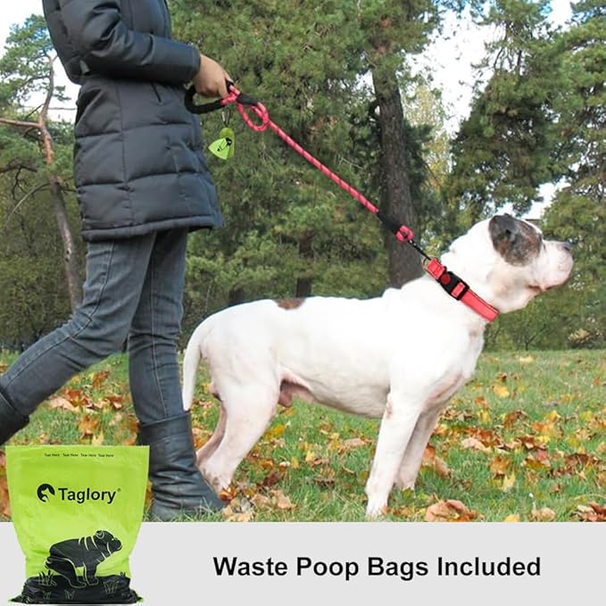Taglory Rope Dog Leash 4 FT with Comfortable Padded Handle, Highly Reflective Threads Leash and Anti-Tangle Clip for Walking Medium Large Dogs, 1/2 inch, Pink