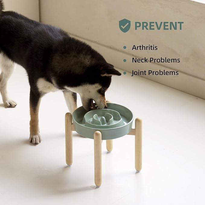 Havniva Ceramic 1.6 Cup Raised Slow Feeder Dog Bowl Set, Elevated Wooden Stand for Medium and Large Dog, 8.2inch Puzzle Slow Dish, Anti-Gulping(Light Green, Single Bowl+ Stand)