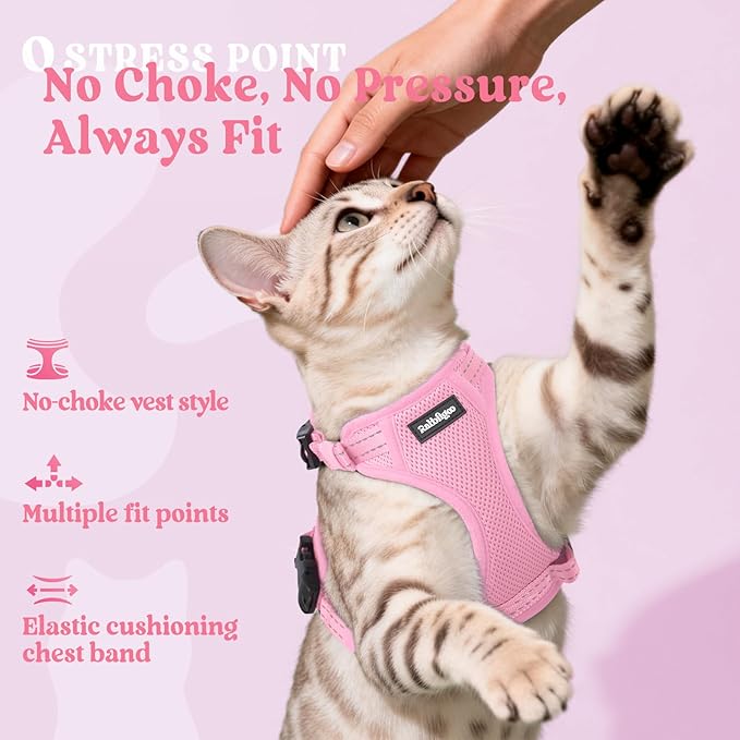 rabbitgoo Cat Harness and Leash, Escape Proof Vest with 3 Adjustable Buckles, Soft Comfortable Kitten Harness, Easy to Wear, Reflective for Safe Outdoor Walking, Medium, Pink