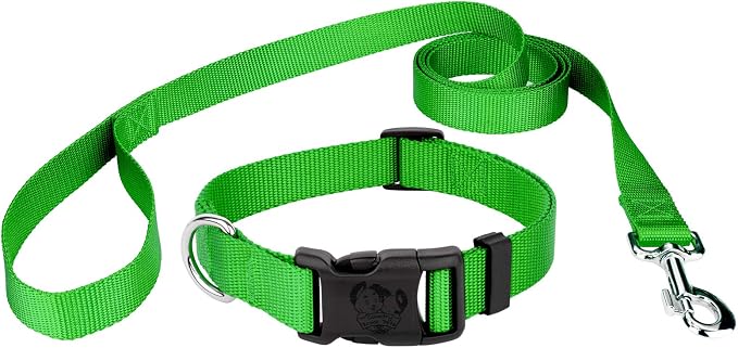 Country Brook Petz - Everyday Nylon Dog Collar and Leash - 10+ Cool Colors (3/4 Inch, Small, Hot Lime Green)