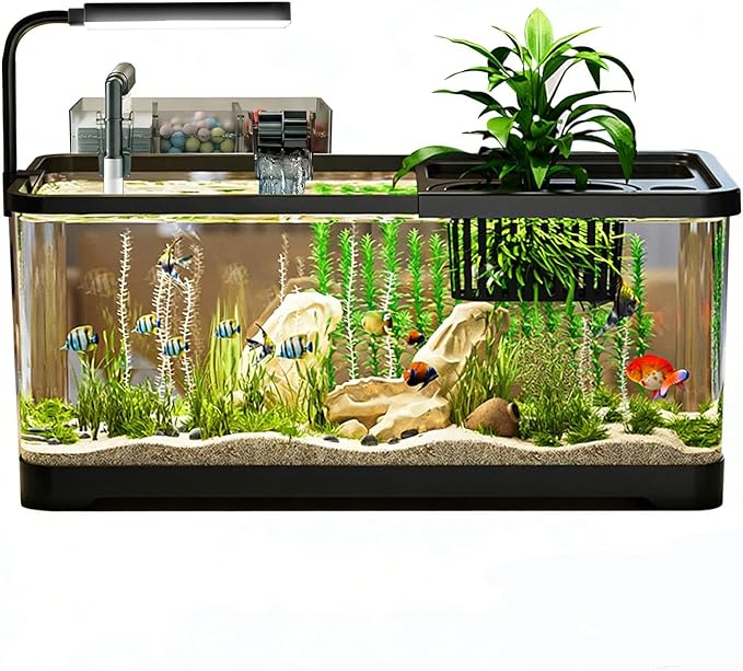5 Gallon Fish Tank, Aquarium Plastic Starter Kit with Filter, led Light, sponge, and filter ball, Fish Tank for Betta, Plastic Nano Aquarium with Lid(18.5*7.87*8.07 inch / Black) (5 Gallon Fish Tank)