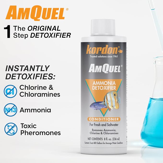 KORDON #31248 AmQuel Ammonia Control and Detoxifies Chloramine for Aquarium, 8-Ounce