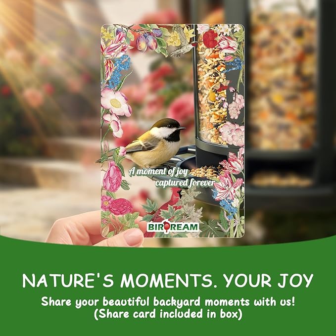 Birdream 4 Pack Bird Feeders for Outdoor Hanging, Assembly Required, 1-Min Easy Setup, Charming Castle Design, Attracting Cardinals Chickadees Goldfinches & Sparrows - Black