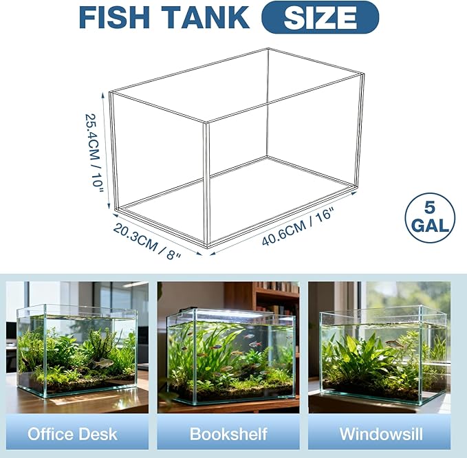 5 Gallon Glass Fish Tank, Nano Aquarium Fish Tank, Rimless Low Iron Aquarium for Betta/Turtle/Goldfish/Snails/Shrimp and Aquatic Planting
