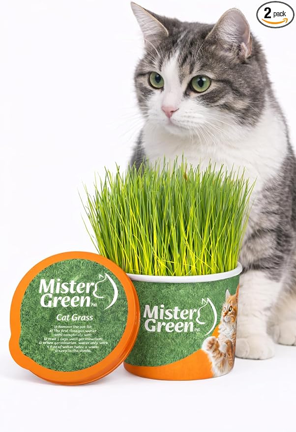 Cat Grass Grow Kit for Indoor Cats – Organic Cat Grass – Easy Grow Fresh Pet Grass – Supports Digestion & Natural Hairball Control – Non-Toxic – Pack (2)
