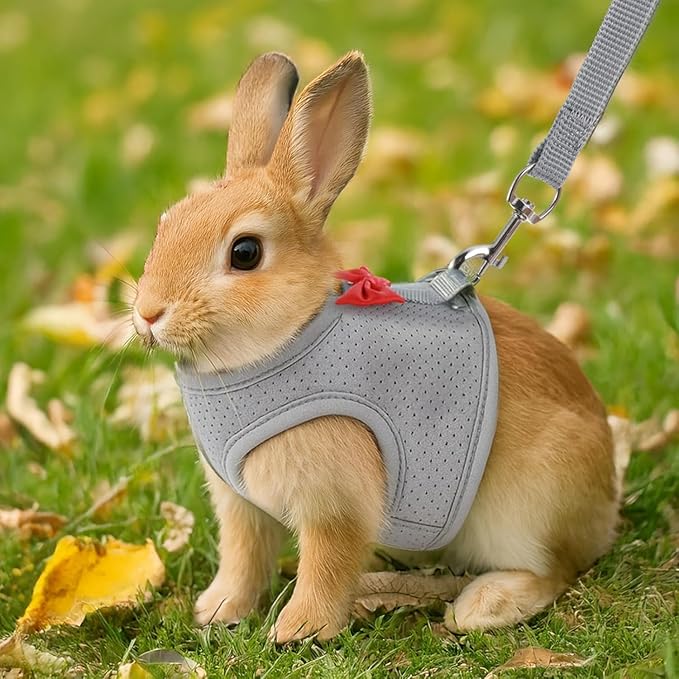 Red Rabbit Harness and Leash Set, with Cute Bow Soft Breathable Mesh Bunny Vest Harness for Rabbits Kitten Ferret Puppy Small Pets Walking, M