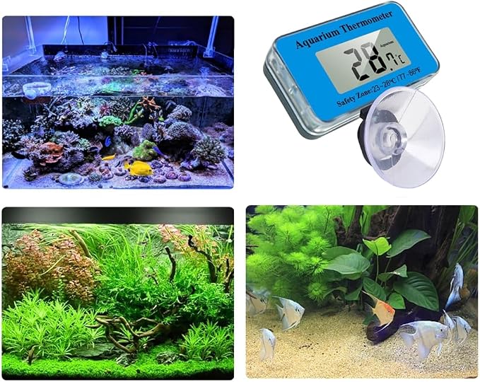 Submersible Aquariums Digital Thermometers with Suction Cup for Office Home Use