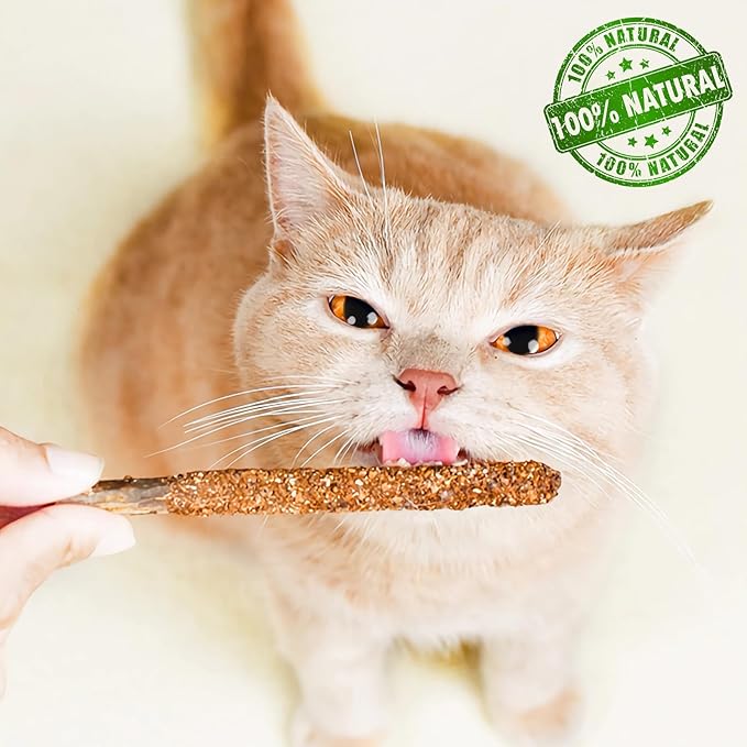 Natural Silvervine Sticks for Cats,Catnip Cat & Kitten Chew Toys Teeth Cleaning, Matatabi Cat Treat, Edible Kitty Toys (20PC)