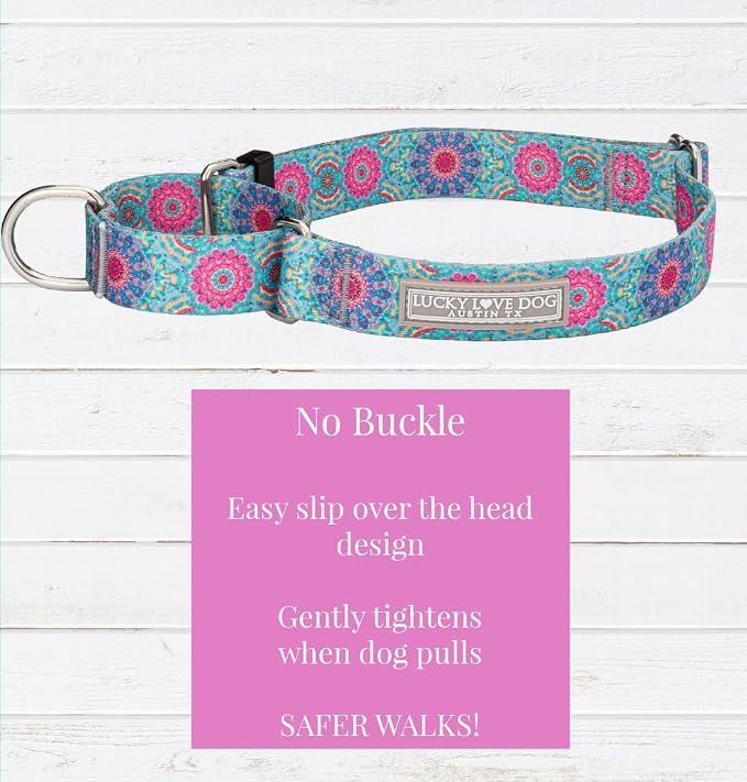 Lucky Love Dog Martingale Dog Collar - Adjustable, No-Slip, Durable, & Soft Webbing Collar for Male and Female Dogs Ideal for Training & Walking - Clara, Large