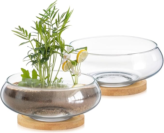 Baderke 2 Sets Glass Planter Bowls for Flowers with Tray 6'' Round Glass Vase Bowl Hydroponic Lotus Planter Pot Propagation Vases Fish Bowl for Plants Indoor Windowsill Kitchen Desktop Wedding Decor