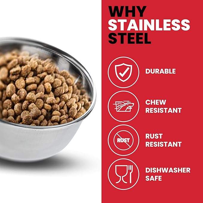 SPOT Stainless Steel Coop Cup with Wire Hooks – Durable, Chew-Resistant Food/Water Bowl for Cages & Crates, Easy Install & Removable, for Cats, Dogs, Birds & Reptiles - 20 Oz (2.5 Cups)