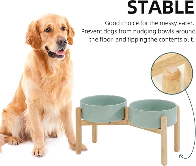 Havniva Ceramic 8.2inch Raised Dog Bowl with Stand for Large- Breed Dogs, Pet Food and Water Feeder (Double Bowl with Stand - Light Green)
