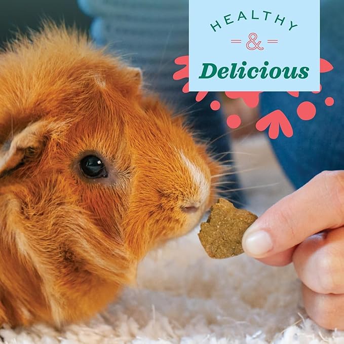 Oxbow Simple Rewards High-Fiber Timothy Hay Small Animal Treats for Rabbits, Guinea Pigs & Chinchillas - Carrot & Dill Crunchy Baked Snacks, 3 oz (3 Pack)