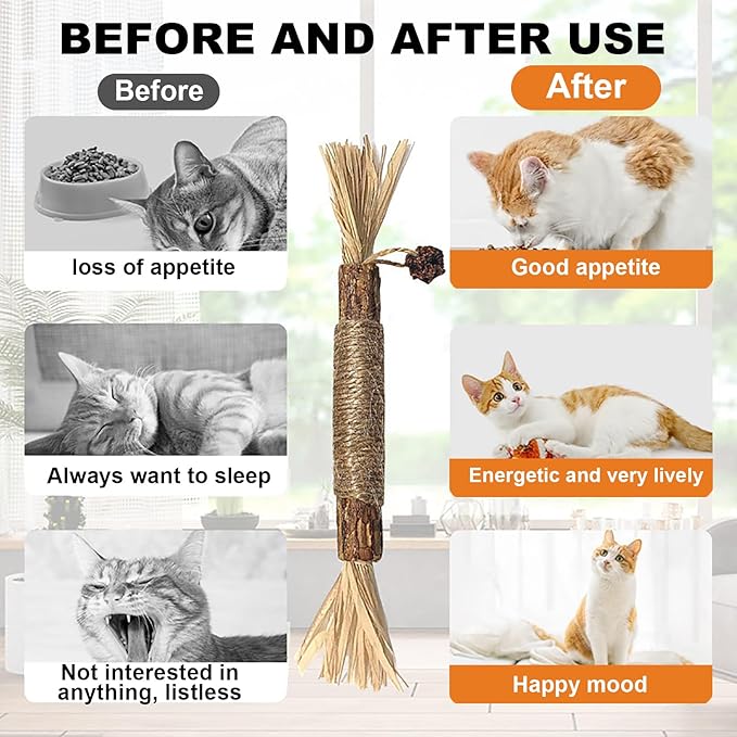 Natural Silvervine Dental Sticks, Natural Silvervine Sticks for Cats, Cleaning Dental, Scratch and Bite Resistant, Calm Cat Boring, for Indoor Kitty Interactive Kitten Chew Playthings (3Pcs)