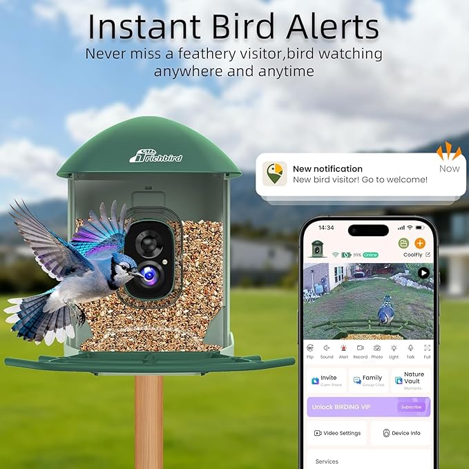 Smart Bird Feeder with 4MP HD Camera, Birdwatching Camera with Free AI Identify Birds & Solar Panel for Outdoors, Auto Video Capture & Instant Notifications, Green