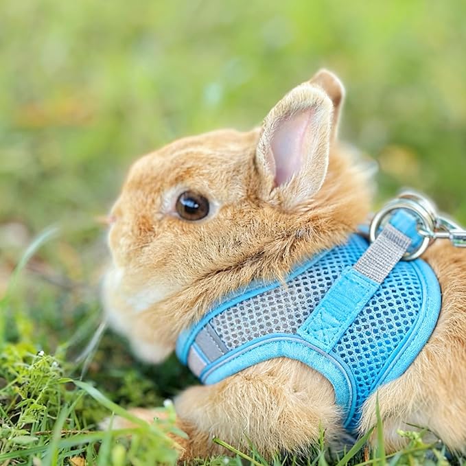 Rabbit Harness and Leash Set Escape Proof, Adjustable Soft Padded Vest, Breathable Mesh Bunny Harness with Reflective Strap, Safe for Small Animals(Green,S)