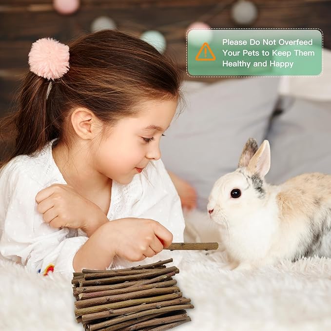 Jorewood 1 LB Natural Apple Wood Chew Sticks for Rabbits, Hamsters, Chinchillas - Extra Hard Teeth Grinding Toy | Untreated, Safe & Long-Lasting Rodent Chews
