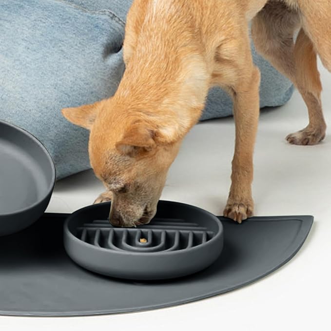 Should We Go? Slow Feeder for Dogs & Cats, The Slowdown Bowl Silicone Slow Eating Mealtime Solution with Modern Lick Mat Design, Reduces Gulping, Fits 1 Cup, 6” Across x 1.25” Tall, Small-Charcoal