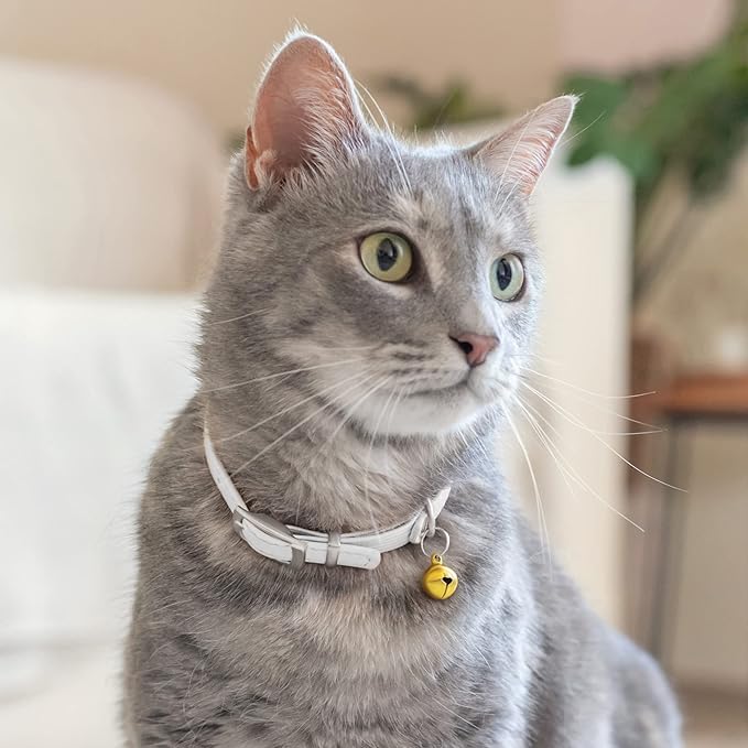 CollarDirect Leather Cat Collar with Removable Bell – Safety Elastic Strap (Breakaway Alternative) – Kitten Collar for Small & Big Boy & Girl Cats