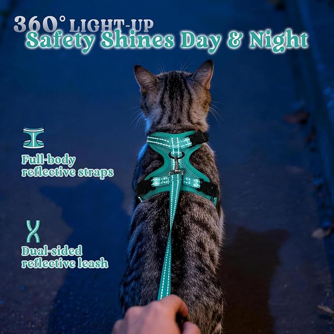rabbitgoo Cat Harness and Leash, Escape Proof Vest with 3 Adjustable Buckles, Soft Comfortable Kitten Harness, Easy to Wear, Reflective for Safe Outdoor Walking, XS, Green