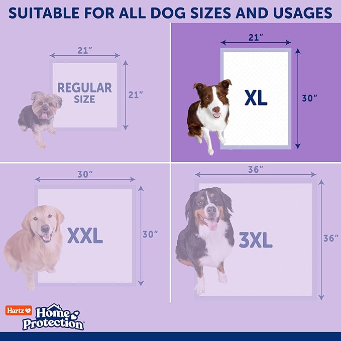Hartz Home Protection Super Absorbent Odor Eliminating Lavender Scented No Leaks Dog Pads, XL 60 Count