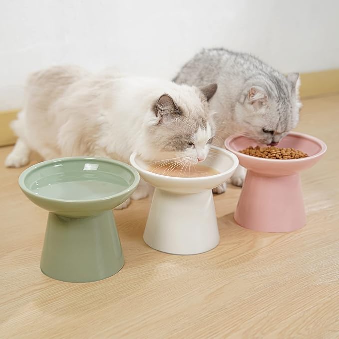 CEEFU Extra Wide Elevated Ceramic Cat Bowl, 6.2" Shallow Dish for Whisker Fatigue Relief, 5" Height for Easy Feeding, Durable Raised Cat Food Bowls, Pack of 2, Sage Green