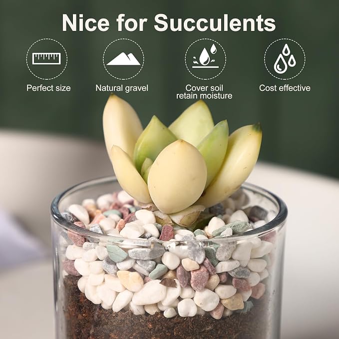 20lb 1/8-3/8inch Aquarium Gravel Fish Tank Gravel Small Rocks for Indoor Plants Decorative Rocks Pea Gravel for Plants Mixed Color Colorful Rocks for Vases Rocks for Crafts