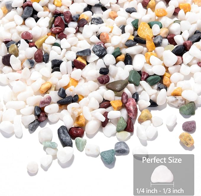 Boniosz 2LB Succulent and Cactus Gravel Pebbles, 1/4 Inch - 1/3 Inch Natural Decorative Polished Stones, River Rocks for Plants, Aquariums, Vases, Terrarium and Outdoor Gardening, 5 Mixed Colors