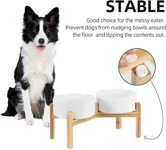 Havniva Ceramic Raised Double Bowls Set with Stand, Food & Water Bowls for Medium Breed Dogs, Weighted Dog Dishes, Pet Bowl(7.3'',41OZ, White)
