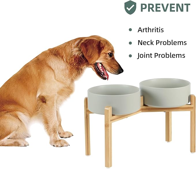 Havniva Ceramic Raised Double Bowls Set with Stand, Food & Water Bowls for Large Breed Dogs, Weighted Dog Dishes, Pet Bowl(8.2'',60OZ, Grey)