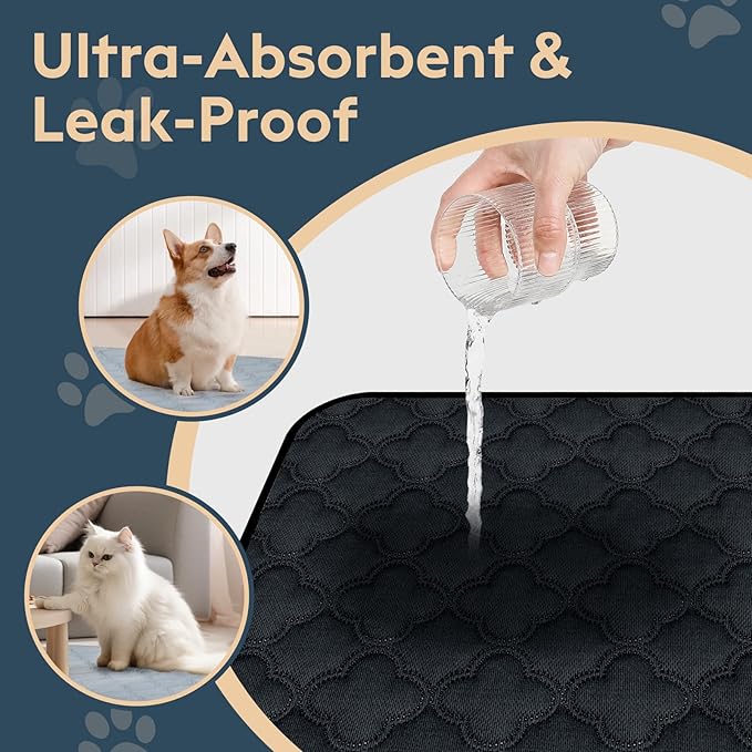 FunFurry Washable Pee Pads - 2 Pack Reusable, Waterproof, Super Absorbent Dog Training Pads with Non-Slip Backing (Dark Grey, 41" X 41")