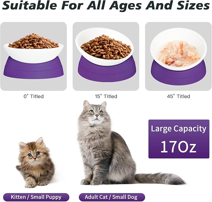 Elevated Cat Bowl, Adjustable Raised Slanted Food Bowl for Cats and Small Dogs, Wide Shallow PP Dish with TPR Non Slip Base, Whisker Friendly, 17 oz
