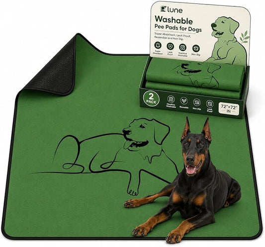 1 Pack Washable Pee Pads for Dogs 72"x72", Reusable Training Puppypads Absorbency Non-Slip & Leak-Proof for Pet Whelping Box Playpen Crate Sofa Bed Floors (Green)