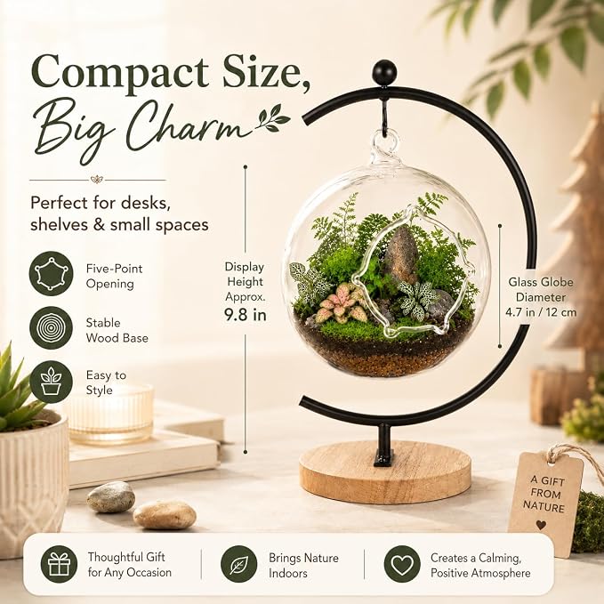 Terrarium Globe Kit, 4.7" Hanging Terrarium for Plants | Small Floating Garden with Wooden Display Stand for Succulents, Indoor Nature Decor, Easy Assembly, Gift for Plant Lover